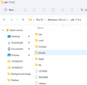 Java Installation & Environment Setup for Selenium WebDriver - MySkillPoint